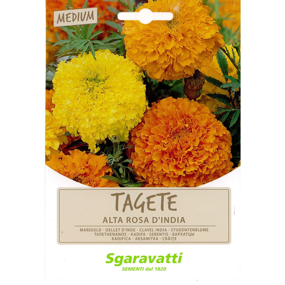 SEMI PER PRATO UNIVERSALE tagete alta doppia rosa d'india (10 PZ)