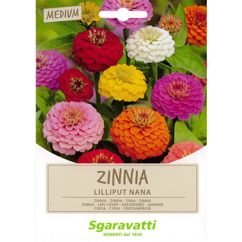 SEMI PER PRATO UNIVERSALE fior di zinnia lilliput nanna (20 PZ)