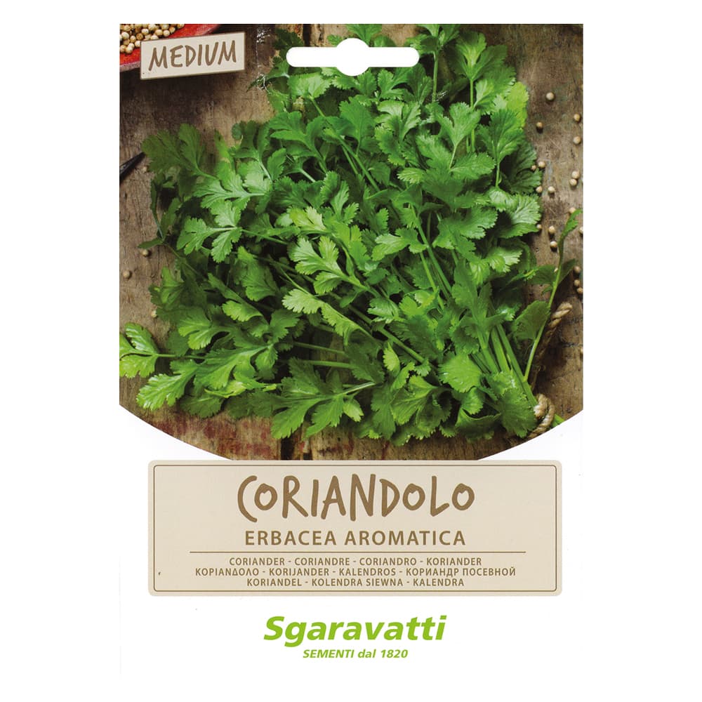 SEMI PER ORTAGGI E VEGETALI coriandolo (10 PZ)