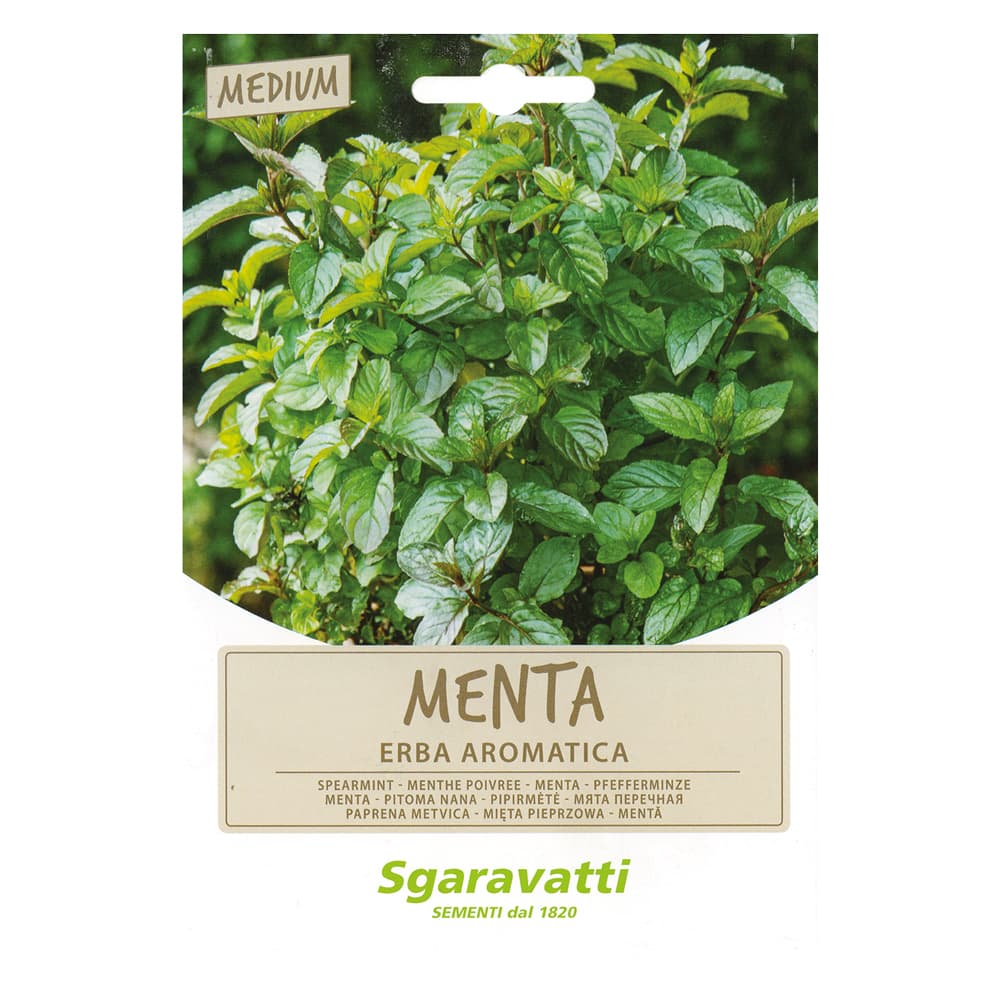 SEMI PER ORTAGGI E VEGETALI menta spicata (20 PZ)