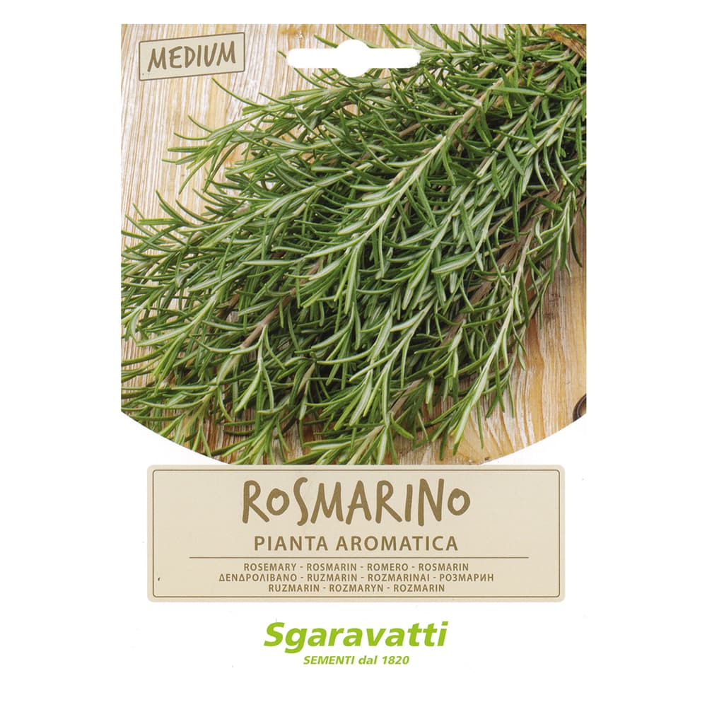 SEMI PER ORTAGGI E VEGETALI rosmarino (20 PZ)