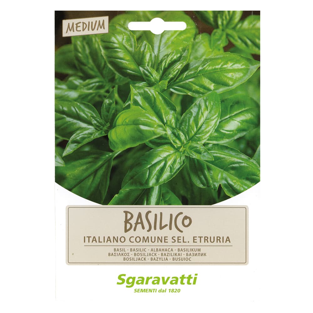 SEMI PER ORTAGGI E VEGETALI basilico italiano comune sel. Etruria (10 PZ)