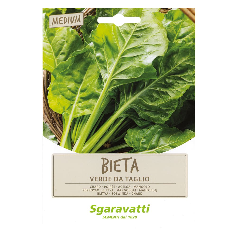 SEMI PER ORTAGGI E VEGETALI bieta liscia verde da taglio (10 PZ)