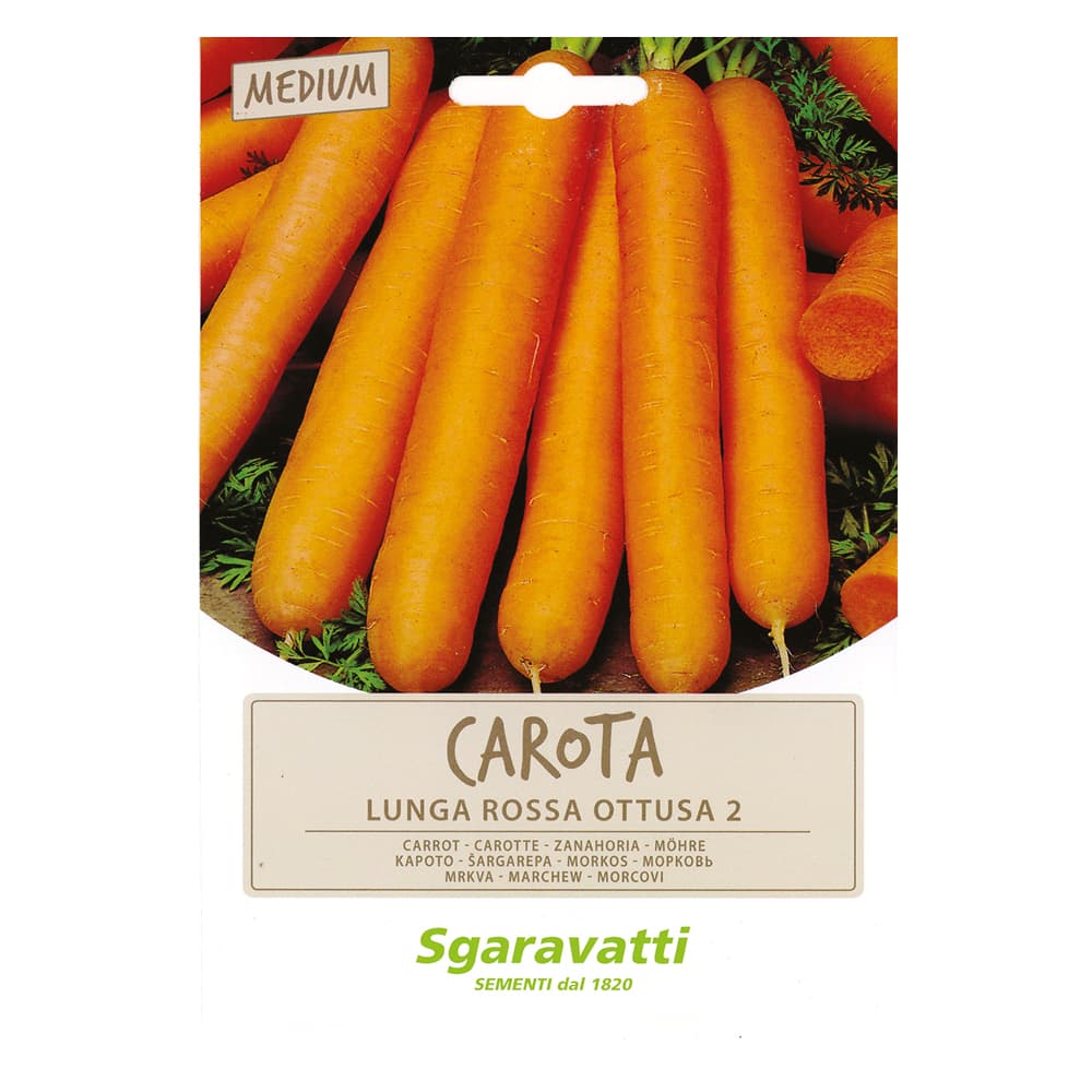 SEMI PER ORTAGGI E VEGETALI carota lunga ottusa (20 PZ)