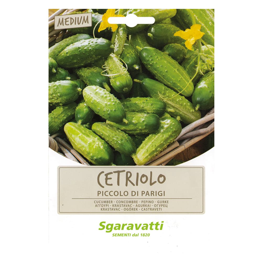 SEMI PER ORTAGGI E VEGETALI cetriolo piccolo verde di Parigi (20 PZ)