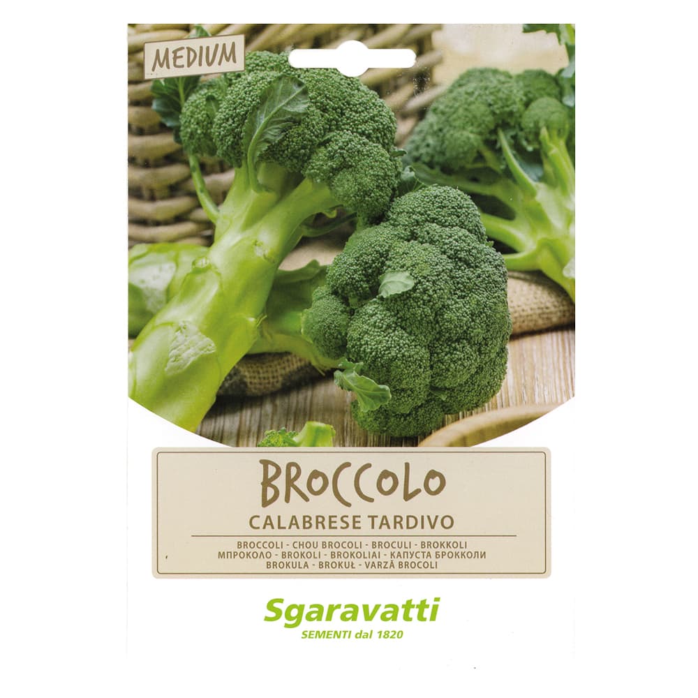 SEMI PER ORTAGGI E VEGETALI broccolo ramoso calabrese tardivo (20 PZ)