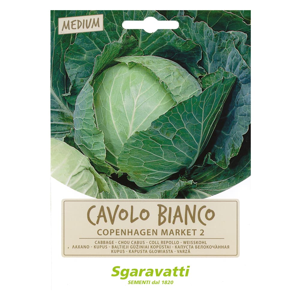 SEMI PER ORTAGGI E VEGETALI cavolo cappuccio Copenhagen Market (20 PZ)
