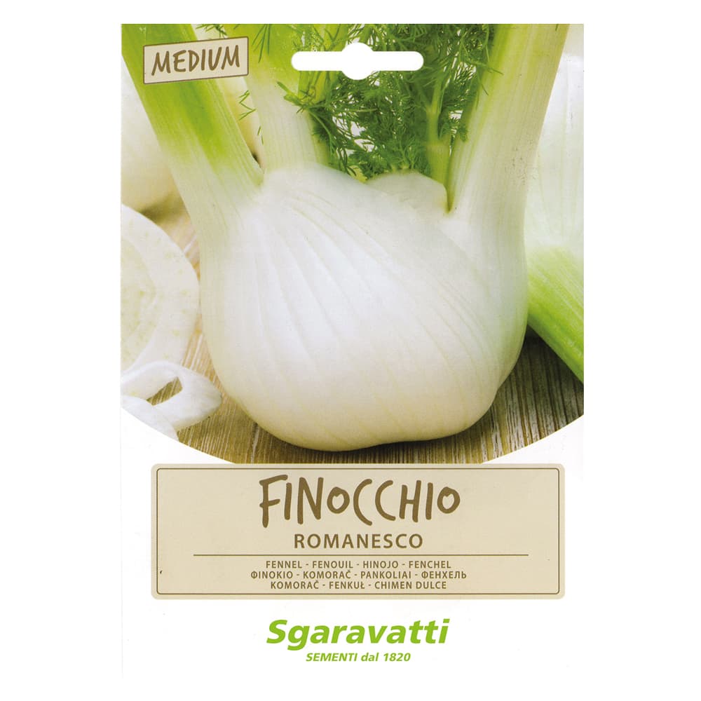 SEMI PER ORTAGGI E VEGETALI finocchio romanesco (20 PZ)