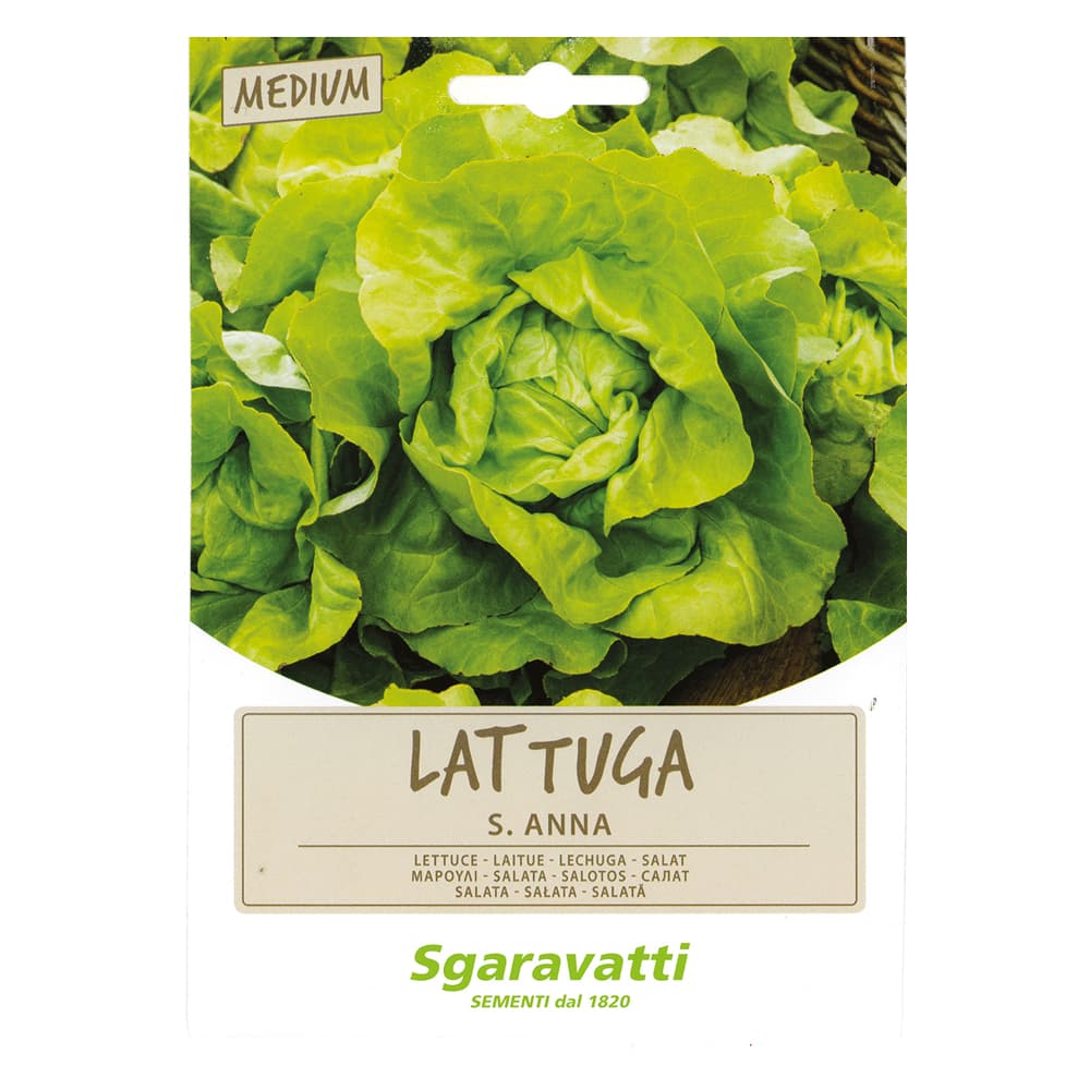 SEMI PER ORTAGGI E VEGETALI lattuga S. Anna (20 PZ)