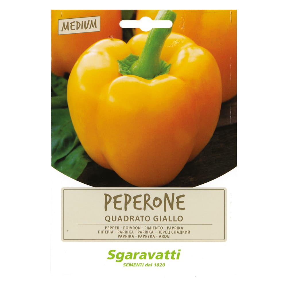 SEMI PER ORTAGGI E VEGETALI peperone quadrato asti giallo (20 PZ)