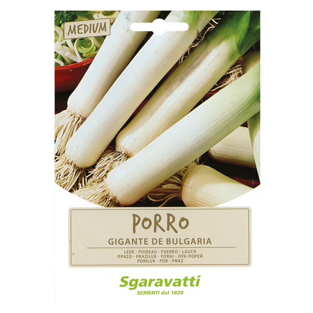 SEMI PER ORTAGGI E VEGETALI porro gigante de bulgaria (20 PZ)