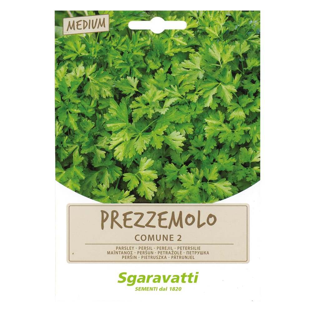 SEMI PER ORTAGGI E VEGETALI prezzemolo comune (10 PZ)