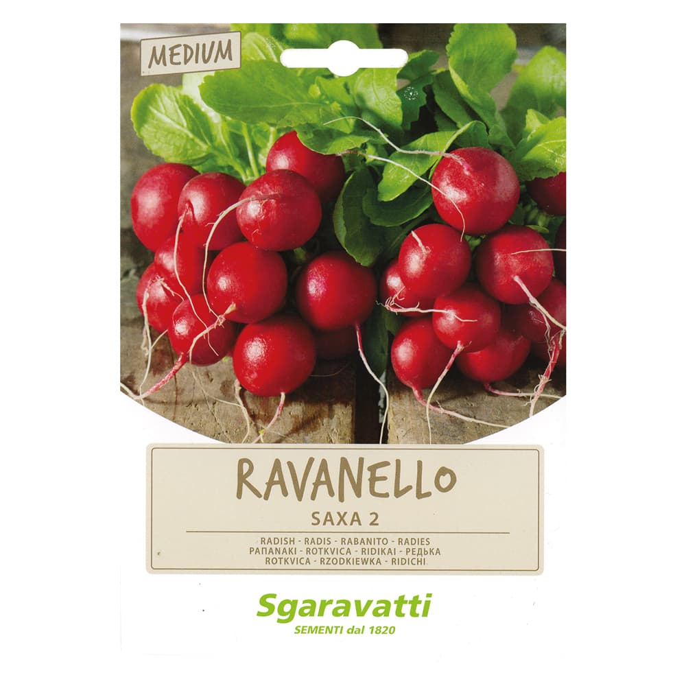 SEMI PER ORTAGGI E VEGETALI ravanello saxa 2 (20 PZ)