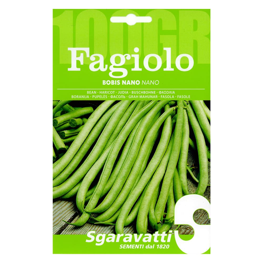 SEMI PER FAGIOLI fagiolo bobis bianco - gr 250