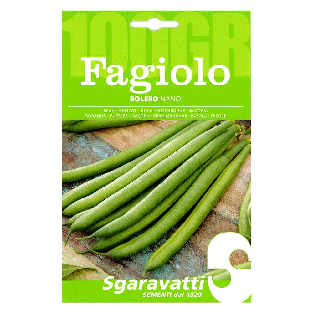 SEMI PER FAGIOLI fagiolo nano bolero - gr 100 (5 PZ)