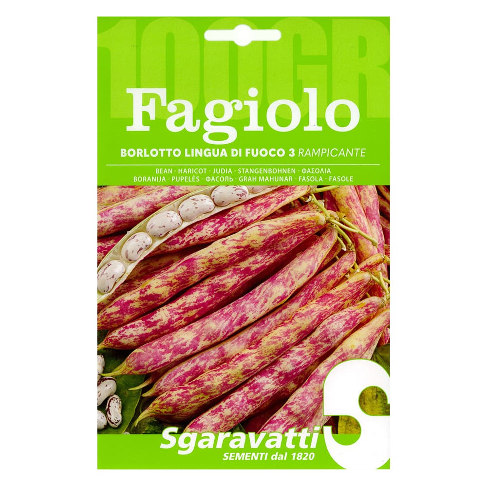 SEMI PER FAGIOLI fagiolo borlotto rampicante lingua di fuoco 3 - gr 250