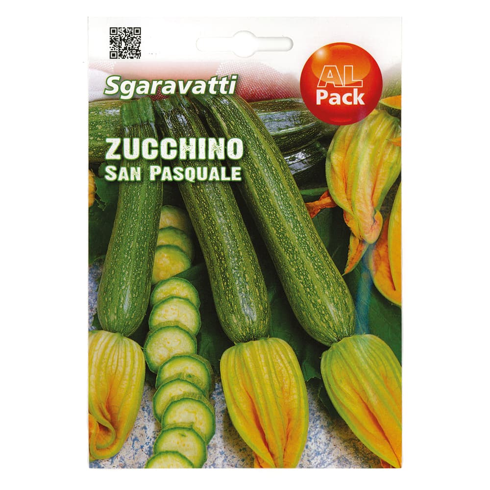 SEMI PER ORTAGGI E VEGETALI zucchino S.Pasquale (10 PZ)