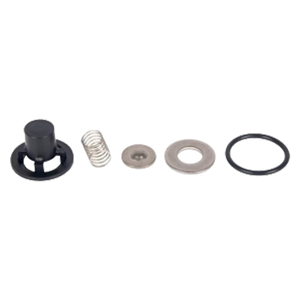VALVOLE PER MOTOPOMPA IRRORATRICE kit 4 pezzi